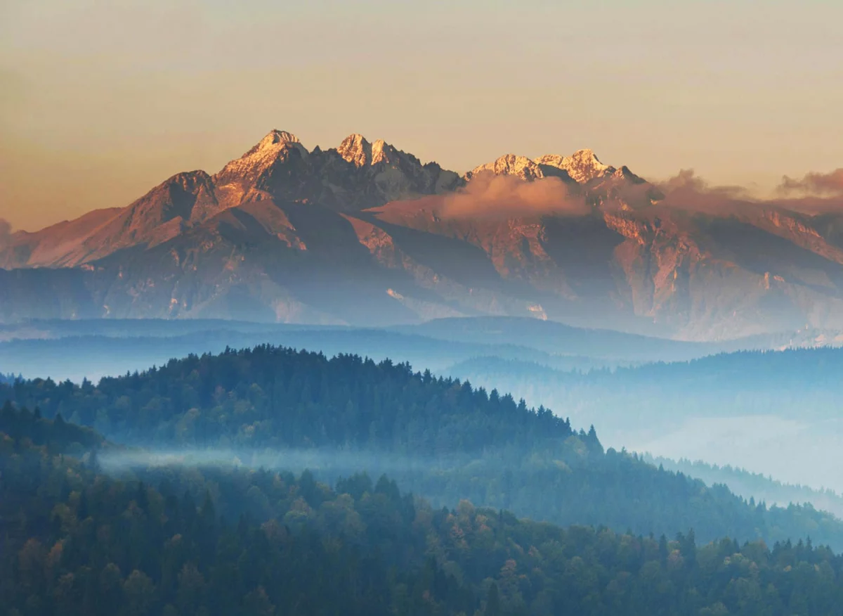 Kto musi kupić elektronikę?