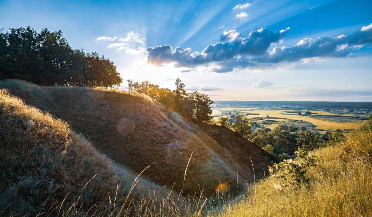 Kilka faktów jak znaleźć ciekawe informacje