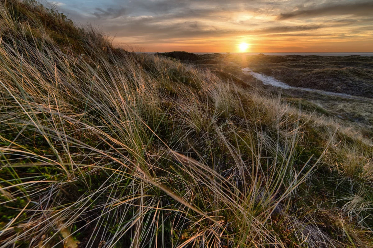 Lubisz urządzić ogród? Po przeczytaniu tego na pewno polubisz!