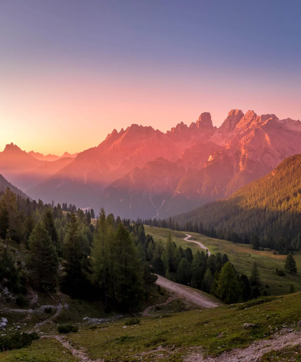 Czy jest nowe prawo jak szkolić się?